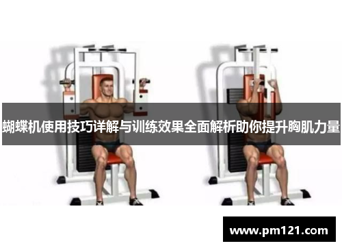 蝴蝶机使用技巧详解与训练效果全面解析助你提升胸肌力量
