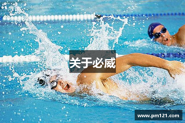 关于必威